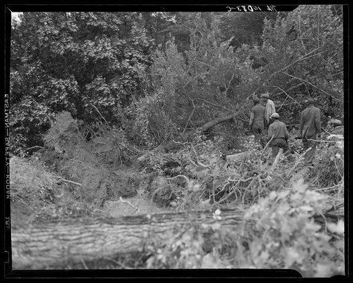 Untitled photo, possibly related to: Earliest stages of land clearing at Greenbelt, Maryland