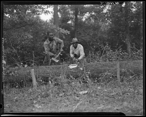 Untitled photo, possibly related to: Earliest stages of land clearing at Greenbelt, Maryland
