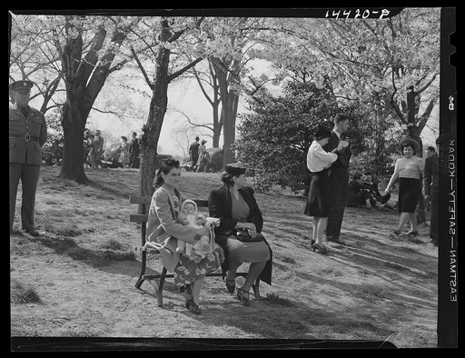 Untitled photo, possibly related to: Relaxing after Cherry Blossom Festival. Washington, D.C.