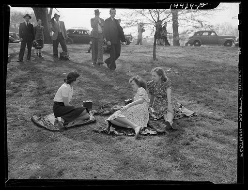 Untitled photo, possibly related to: Cherry Blossom Festival, Washington, D.C.