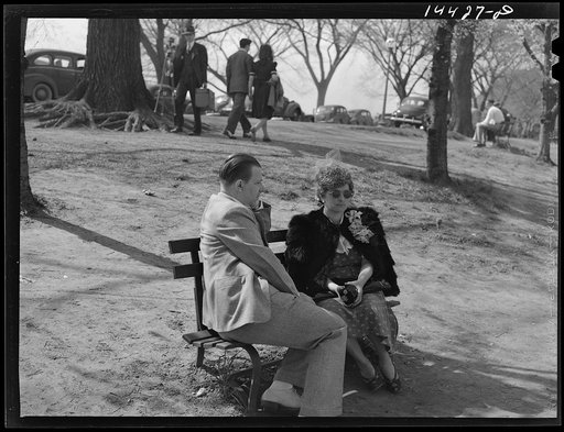 Untitled photo, possibly related to: Cherry Blossom Festival, Washington, D.C.