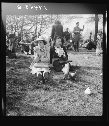 Untitled photo, possibly related to: Cherry Blossom Festival, Washington, D.C.