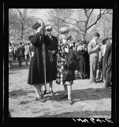 Untitled photo, possibly related to: Camera bugs snapping the cherry blossoms across the Tidal Basin. Cherry Blossom Festival, Washington, D.C.