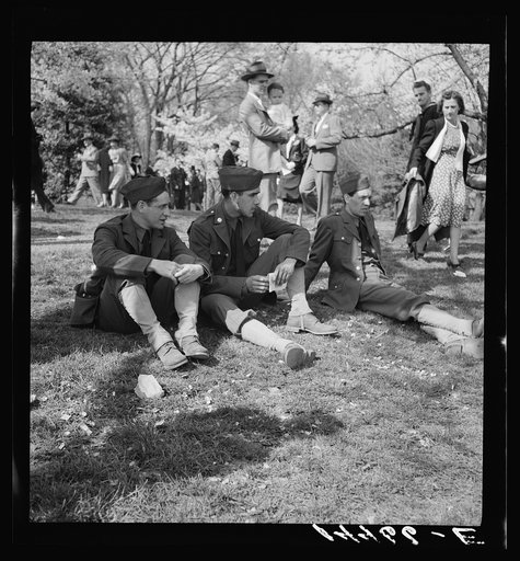Untitled photo, possibly related to: Cherry Blossom Festival, Washington, D.C.