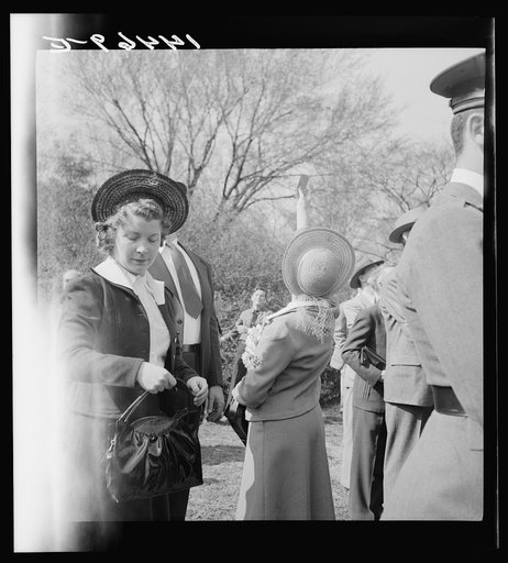 Untitled photo, possibly related to: Cherry Blossom Festival, Washington, D.C.