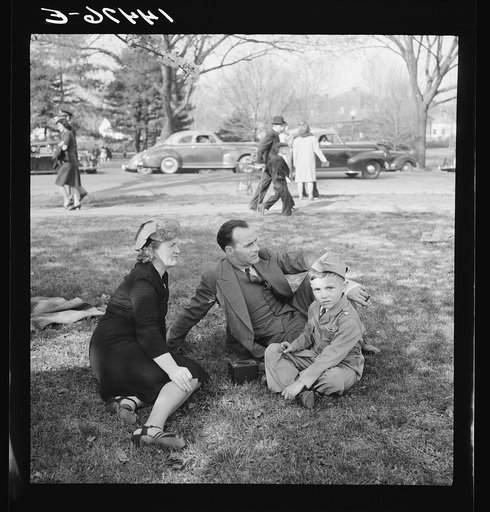 Untitled photo, possibly related to: Cherry Blossom Festival, Washington, D.C.