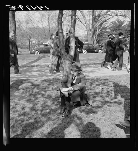 Untitled photo, possibly related to: Cherry Blossom Festival, Washington, D.C.