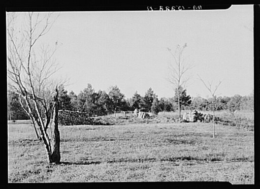 The remains of the Milborne House, an old plantation house on Eastern Shore land use project, Maryland