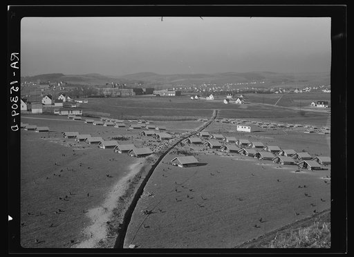Untitled photo, possibly related to: The chicken range at Westmoreland Homesteads, Pennsylvania