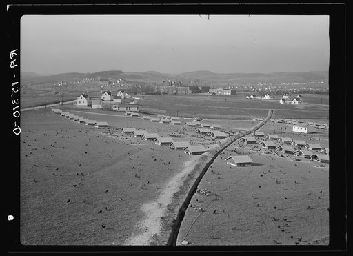 Untitled photo, possibly related to: The chicken range at Westmoreland Homesteads, Pennsylvania