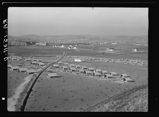 The chicken range at Westmoreland Homesteads, Pennsylvania