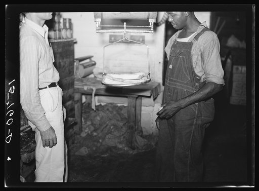 Weighing fatback in country grocery store. Florence County, South Carolina
