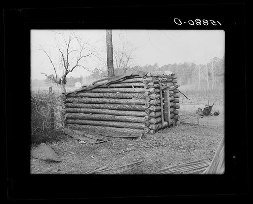 Old log chicken coop. Pembroke Farms, North Carolina