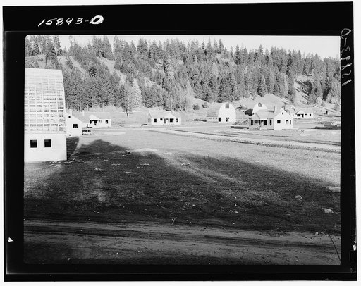 Looking east from a nearby hill on part of the nine farmsteads established on the former Colony Ranch in Drainage District Number Five. Boundary Farms. Idaho