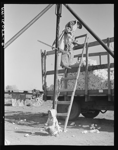 Untitled photo, possibly related to: Cotton weigher. Southern San Joaquin Valley, California