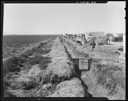 Forty families of drought and depression refugees camped by the roadside beside an irrigated pea field. A freeze which destroyed the pea crop threw practically every family in this camp on emergency relief. Nine miles from Calipatria, California