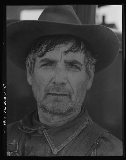 A former tenant farmer from Texas now working in California as a pea picker. Nipomo, California