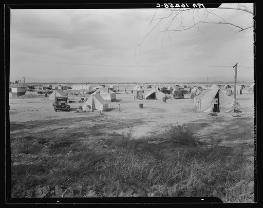 Auto camp north of Calipatria, California. Approximately eighty families from the Dust Bowl are camped here. They pay fifty cents a week. The only available work now is agricultural labor