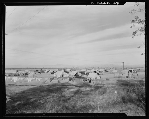 Auto camp north of Calipatria, California. Approximately eighty families from the Dust Bowl are camped here. They pay fifty cents a week. The only available work now is agricultural labor