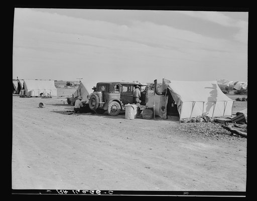 Squatter camp on county road near Calipatria. Forty families from the dust bowl have been camped here for months on the edge of the pea fields. There has been no work because the crop was frozen