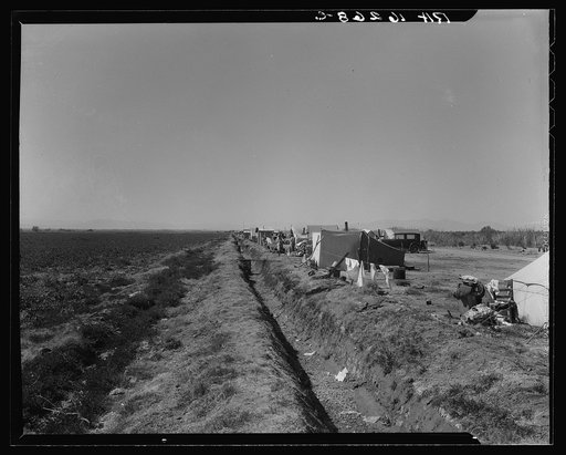 Squatter camp on county road near Calipatria. Forty families from the dust bowl have been camped here for months on the edge of the pea fields. There has been no work because the crop was frozen