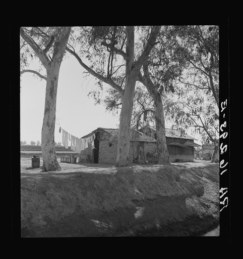 Ditch bank housing for Mexican field workers. Imperial Valley, California