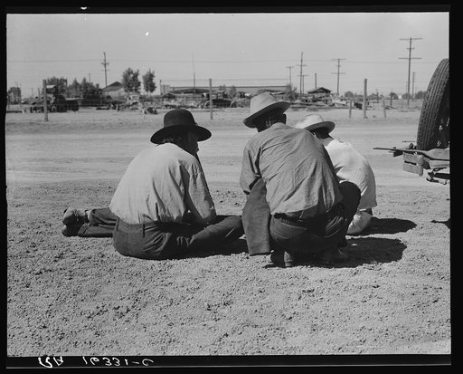 Oklahomans now working or looking for work in the pea harvests of California. Outskirts of Calipatria. Imperial Valley