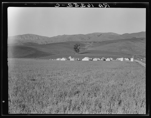 Migratory labor camp in the Santa Clara Valley. Near San Jose, California