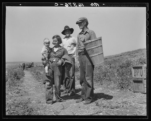 Drought refugees from Oklahoma at work in the pea fields near Nipomo, California
