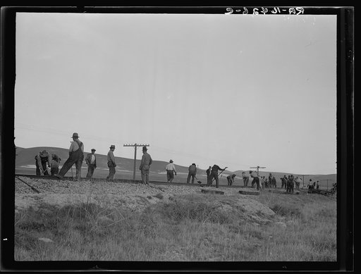 White section gang near King City, California. Before the depression this work was done entirely by Mexican labor