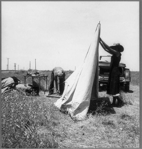 Migrant potato pickers pitching their tent. Often they are without water and sanitary conditions. Near Shafter, California