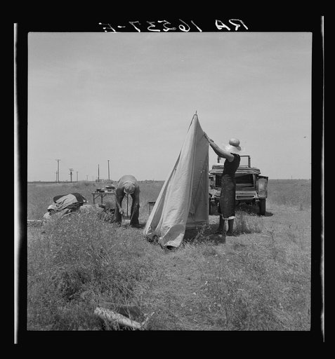 Untitled photo, possibly related to: Migrant potato pickers pitching their tent. Often they are without water and sanitary conditions. Near Shafter, California