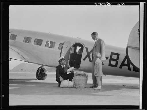 Plant quarantine inspector examining baggage brought into the United States by plane from Mexico. Glendale California