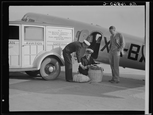 Plant quarantine inspector examining baggage brought into the United States by plane from Mexico. Glendale, California