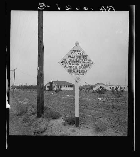 Sign on road entering California where there is now plant quarantine inspection. Entering Riverside County, California