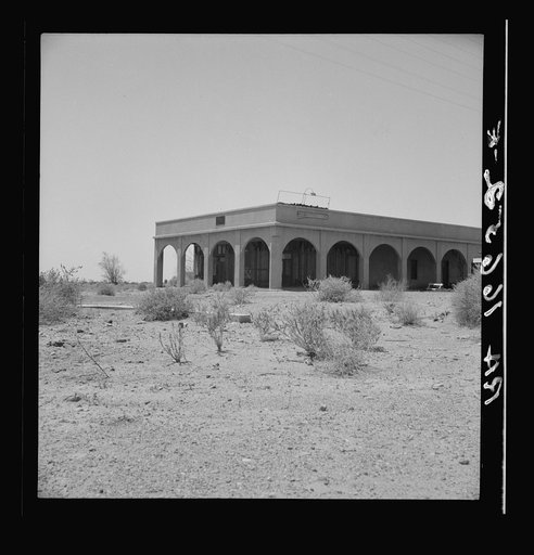 Untitled photo, possibly related to: Aftermath of irrigation boom and subsequent collapse of cotton in California, 1921. Nyland, California