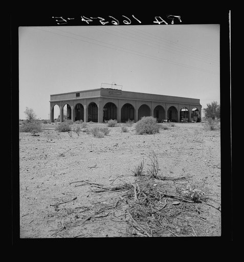 Aftermath of irrigation boom and subsequent collapse of cotton in California, 1921. Nyland, California