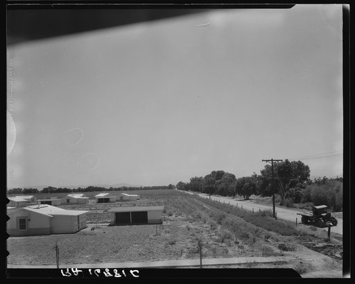 View of Resettlement Administration's part-time farms. Glendale, Arizona