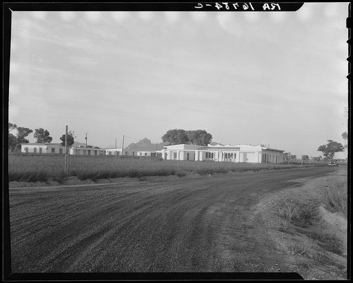 Untitled photo, possibly related to: View of Resettlement Administration's part-time farms. Glendale, Arizona