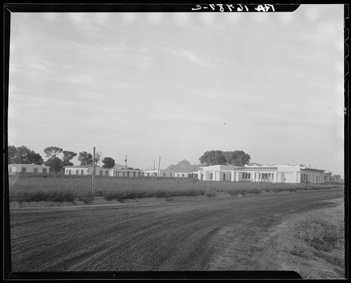 Untitled photo, possibly related to: View of Resettlement Administration's part-time farms. Glendale, Arizona