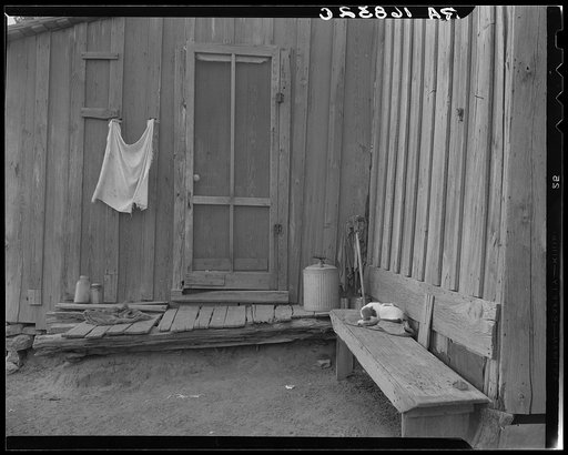 Back door of Texas tenant farmer's house. He has worked this farm for twenty years