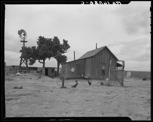 Texas tenant farmer's house. He operated this farm on thirds and fourths; that is, he supplies teams and tools, feed and seed to the owner's land. He has made no crop for four years but survives because of government checks for participation in crop reduction program. He has farmed for twenty years 