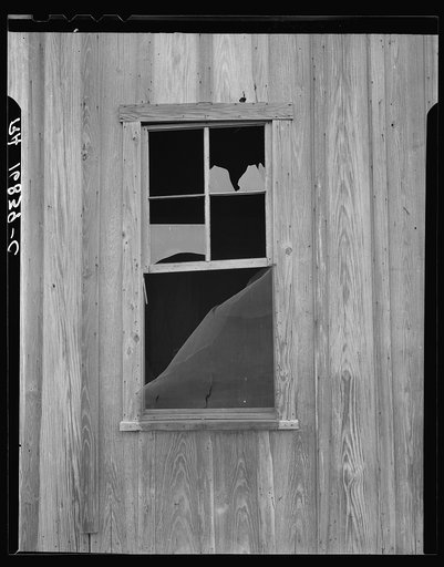 Abandoned shack of a tenant farmer near Roscoe, Texas