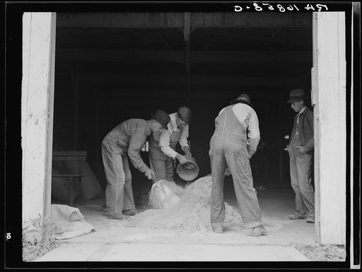 Untitled photo, possibly related to: Farmers sack mixed grasshopper bait for use on their farms to control the pest. Oklahoma City, Oklahoma