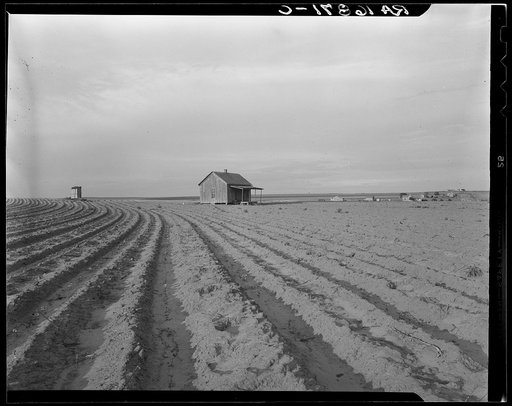 Abandoned tenant house. Hall County, Texas