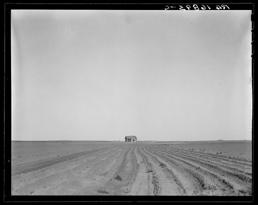 Abandoned tenant house, seen across tractored cotton fields. Childress County, Texas