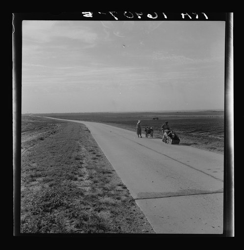 Flood refugee family near Memphis, Texas, are bound for the lower Rio Grande Valley, where they hope to pick cotton. They are from Arkansas