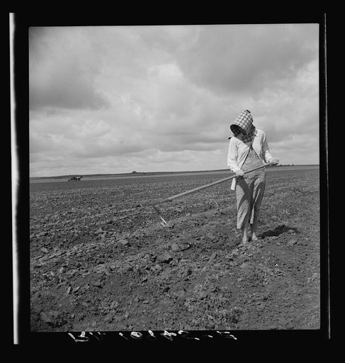 Wife of Texas tenant farmer. The wide lands of the Texas Panhandle are typically operated by white tenant farmers, i.e., those who possess teams and tools and some managerial capacity