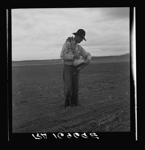 West Texas farmer prepares to sow millet