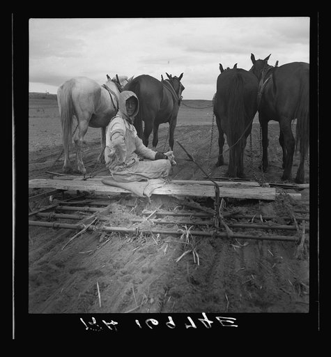 West Texas tenant farmer's wife. She has worked on this land with him for twenty years